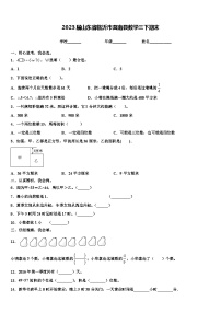 2023届山东省临沂市莒南县数学三下期末含解析