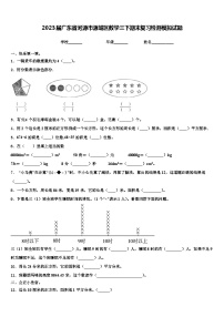 2023届广东省河源市源城区数学三下期末复习检测模拟试题含解析