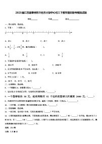 2023届江苏省泰州市兴化市大垛中心校三下数学期末联考模拟试题含解析