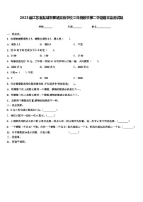 2023届江苏省盐城市郭猛实验学校三年级数学第二学期期末监测试题含解析