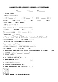 2023届河北省邯郸市曲周县数学三下期末学业水平测试模拟试题含解析