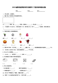 2023届贵州省贵阳市修文县数学三下期末联考模拟试题含解析