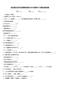 四川省乐山市马边彝族自治县2023年数学三下期末监测试题含解析