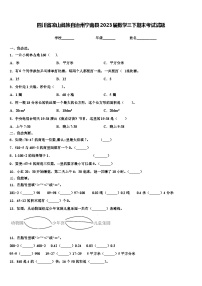 四川省凉山彝族自治州宁南县2023届数学三下期末考试试题含解析