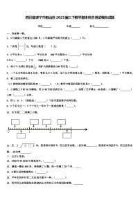 四川省遂宁市船山区2023届三下数学期末综合测试模拟试题含解析