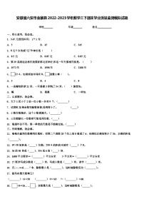 安徽省六安市金寨县2022-2023学年数学三下期末学业质量监测模拟试题含解析