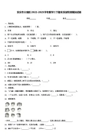 安庆市大观区2022-2023学年数学三下期末质量检测模拟试题含解析