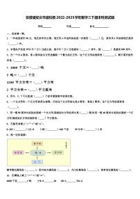 安徽省安庆市宿松县2022-2023学年数学三下期末检测试题含解析