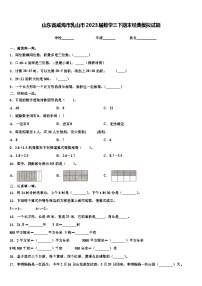 山东省威海市乳山市2023届数学三下期末经典模拟试题含解析