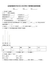 山东省济南市历下区2022-2023学年三下数学期末达标检测试题含解析