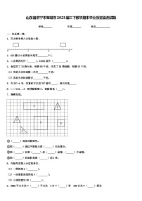 山东省济宁市邹城市2023届三下数学期末学业质量监测试题含解析