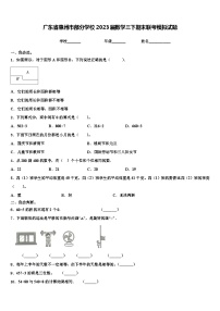 广东省惠州市部分学校2023届数学三下期末联考模拟试题含解析