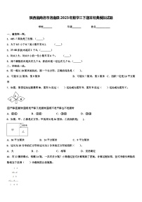 陕西省商洛市洛南县2023年数学三下期末经典模拟试题含解析