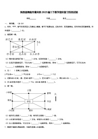 陕西省渭南市潼关县2023届三下数学期末复习检测试题含解析