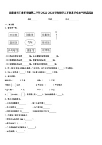 湖北省天门市多宝镇第二中学2022-2023学年数学三下期末学业水平测试试题含解析