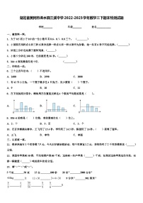 湖北省黄冈市浠水县兰溪中学2022-2023学年数学三下期末检测试题含解析