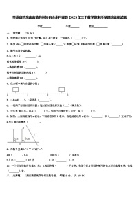 贵州省黔东南南苗族侗族自治州丹寨县2023年三下数学期末质量跟踪监视试题含解析