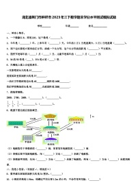 湖北省荆门市钟祥市2023年三下数学期末学业水平测试模拟试题含解析