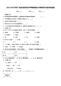 2022-2023学年广东省汕尾市陆丰市甲西镇渔池小学数学四下期末检测试题含解析