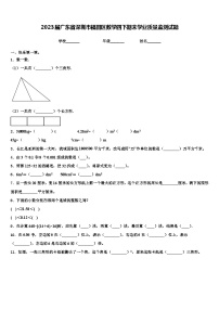 2023届广东省深圳市福田区数学四下期末学业质量监测试题含解析