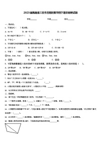 2023届海南省三亚市吉阳区数学四下期末调研试题含解析