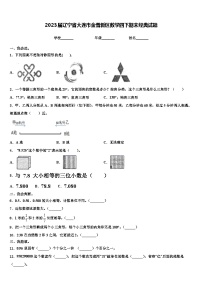 2023届辽宁省大连市金普新区数学四下期末经典试题含解析