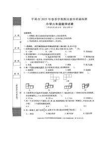 广西壮族自治区百色市平果市2022-2023学年六年级下学期期末教学质量检测（小升初）数学试卷