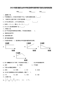 2023年四川省乐山市市中区嘉州学校数学四下期末达标检测试题含解析