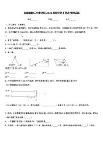 云南省丽江市华坪县2023年数学四下期末预测试题含解析