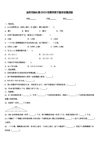 吴忠市同心县2023年数学四下期末经典试题含解析