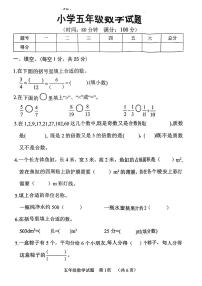 河南省濮阳市台前县2022-2023学年五年级下学期期末数学试卷