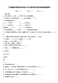 广东省惠州市惠东县平山街道2023年数学四下期末质量跟踪监视试题含解析