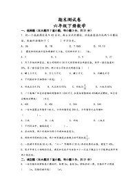 期末测试卷（试卷）-六年级下册数学苏教版