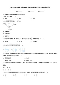 2022-2023学年吉林省通化市柳河县数学五下期末联考模拟试题含解析