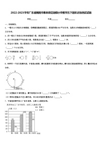 2022-2023学年广东省揭阳市惠来县花湖镇小学数学五下期末达标测试试题含解析