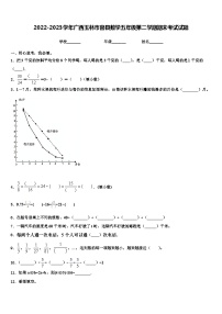 2022-2023学年广西玉林市容县数学五年级第二学期期末考试试题含解析