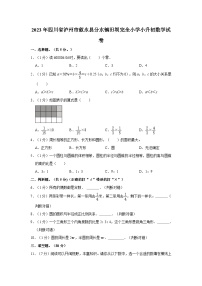 2023年四川省泸州市叙永县分水镇田坝完全小学小升初数学试卷