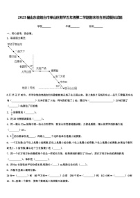 2023届山东省烟台市莱山区数学五年级第二学期期末综合测试模拟试题含解析