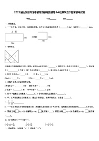 2023届山东省菏泽市郓城县侯咽集镇等14校数学五下期末联考试题含解析