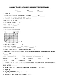 2023届广东省梅州市大埔县数学五下期末教学质量检测模拟试题含解析