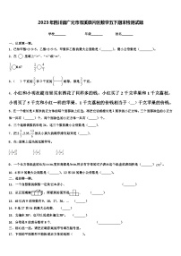 2023年四川省广元市苍溪县片区数学五下期末检测试题含解析