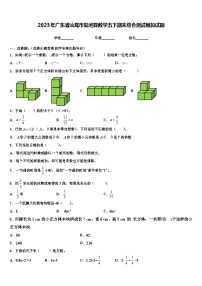 2023年广东省汕尾市陆河县数学五下期末综合测试模拟试题含解析