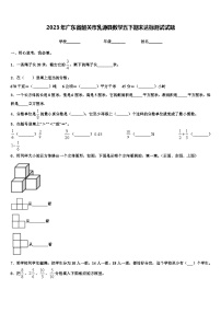 2023年广东省韶关市乳源县数学五下期末达标测试试题含解析