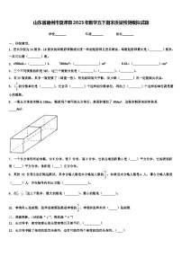 山东省德州市夏津县2023年数学五下期末质量检测模拟试题含解析