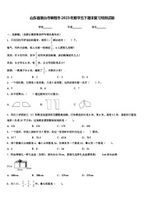 山东省烟台市莱阳市2023年数学五下期末复习检测试题含解析