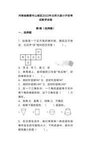 2022年河南省鹤壁市山城区北师大版小升初数学试卷