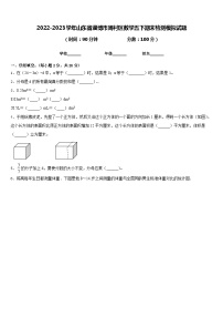 2022-2023学年山东省淄博市周村区数学五下期末检测模拟试题含答案