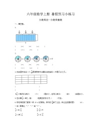 小学人教版1 分数乘法课时练习