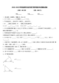 2022-2023学年扬州市仪征市四下数学期末考试模拟试题含答案