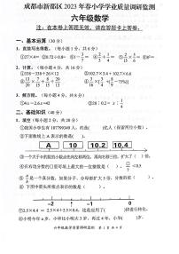 四川省成都市新都区2022-2023学年六年级下学期期末数学试题